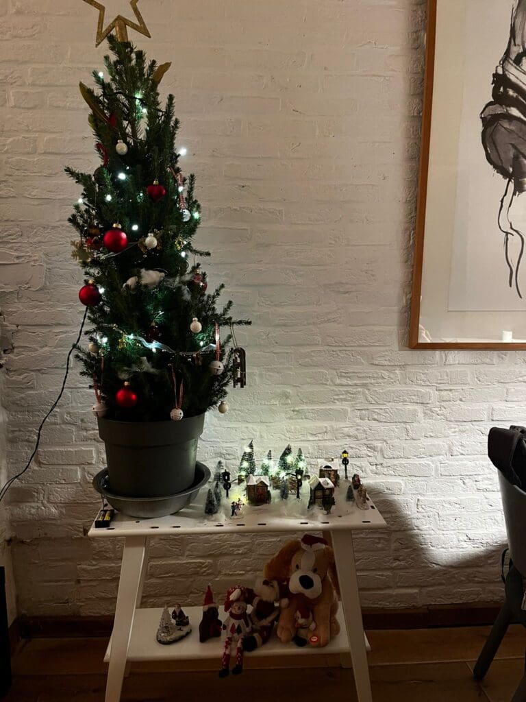 My tiny Christmas tree all ready for the holidays