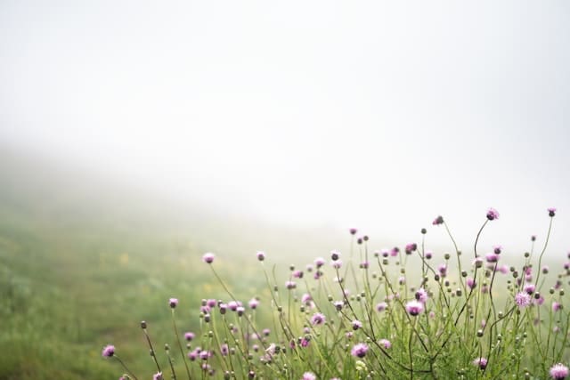 how to relate to the world when it feels harsh